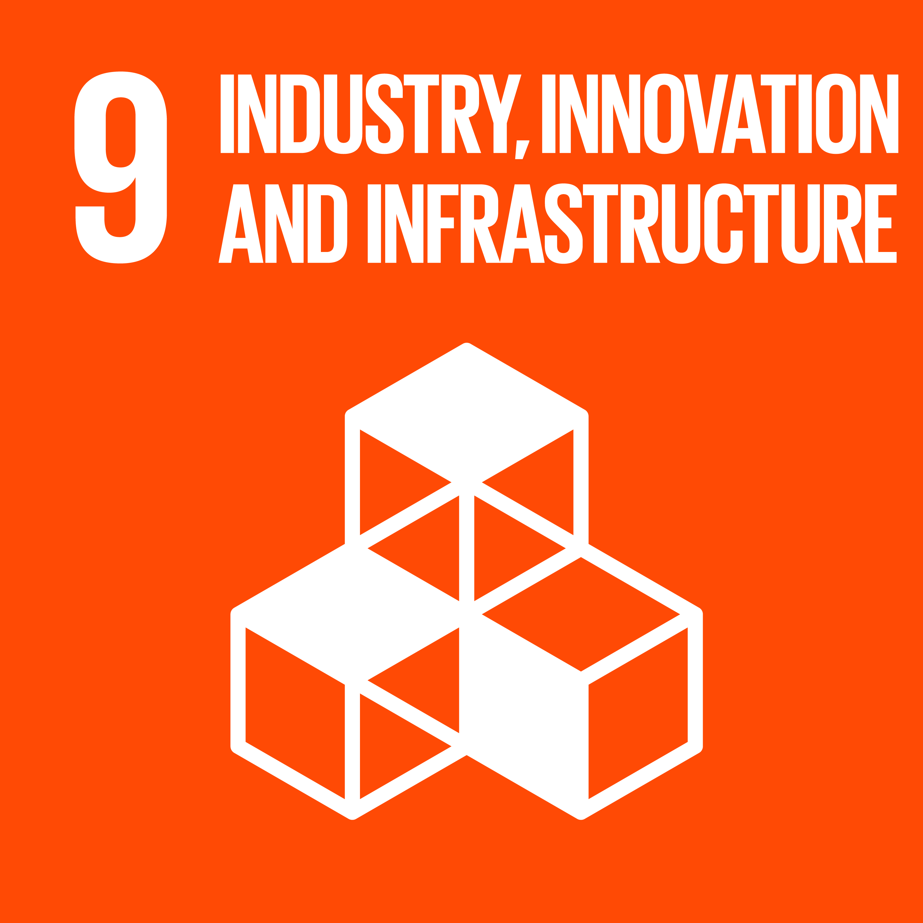 sdg icon 9
