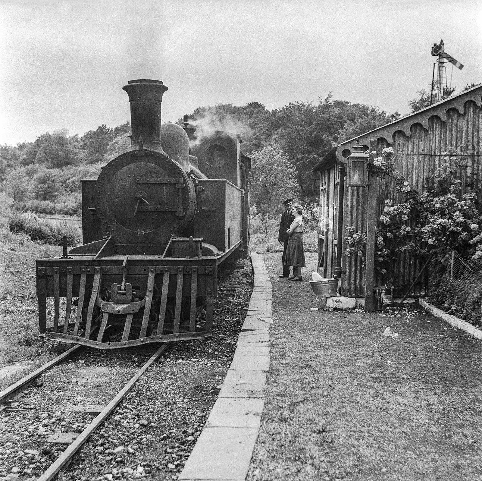 Train 1950s Ballyheady Jun 1958 IrishRailwaySociety