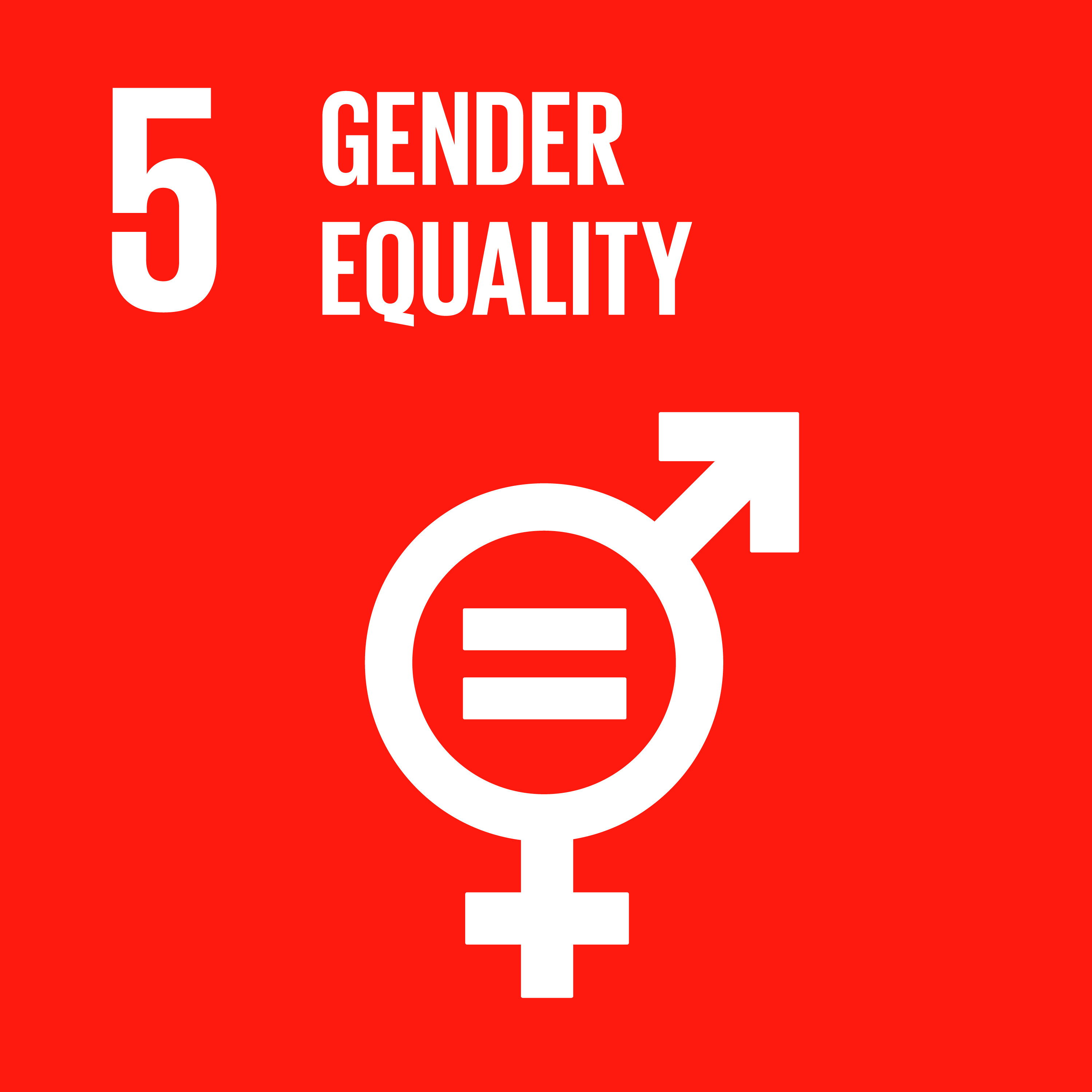 sdg icon 5