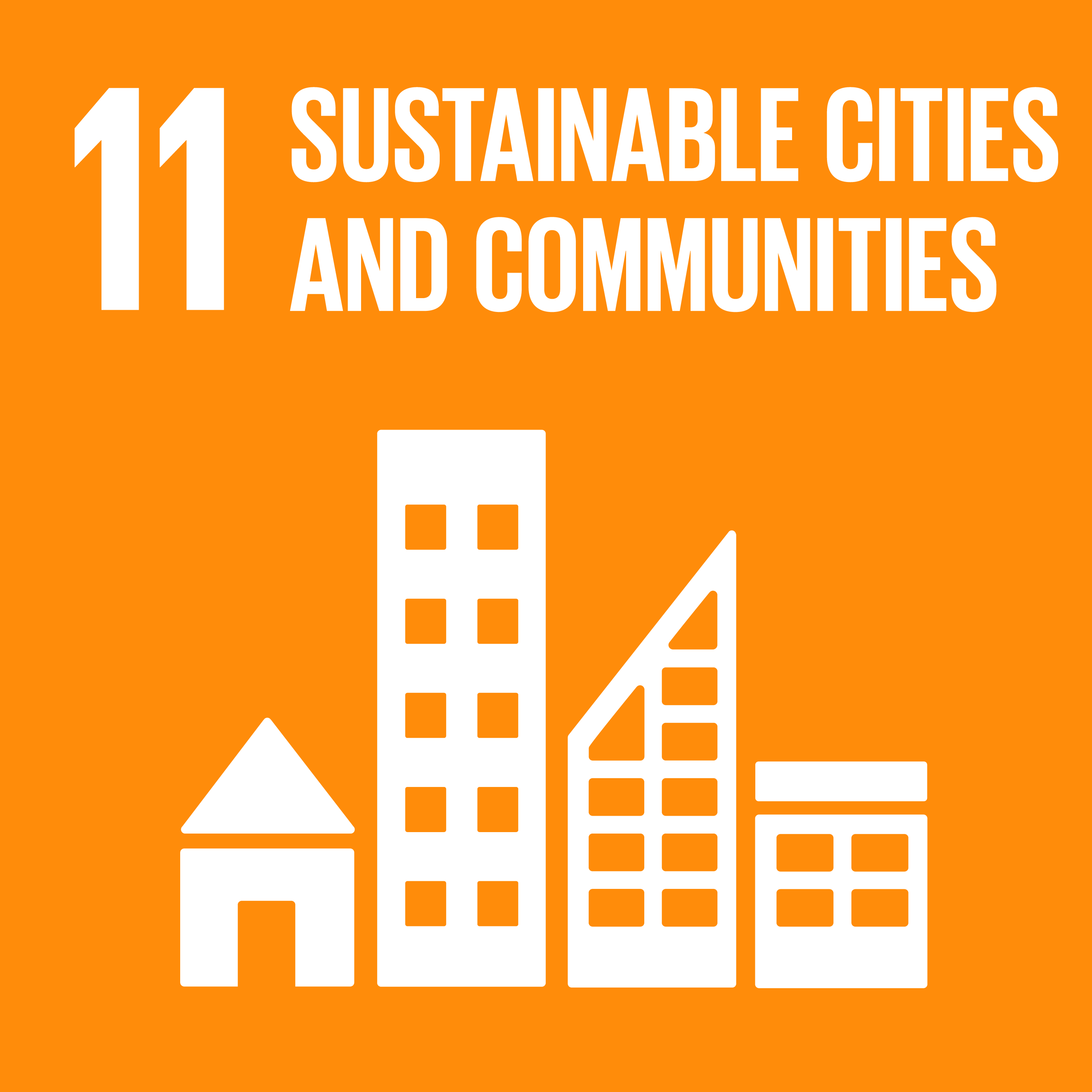 sdg icon 11