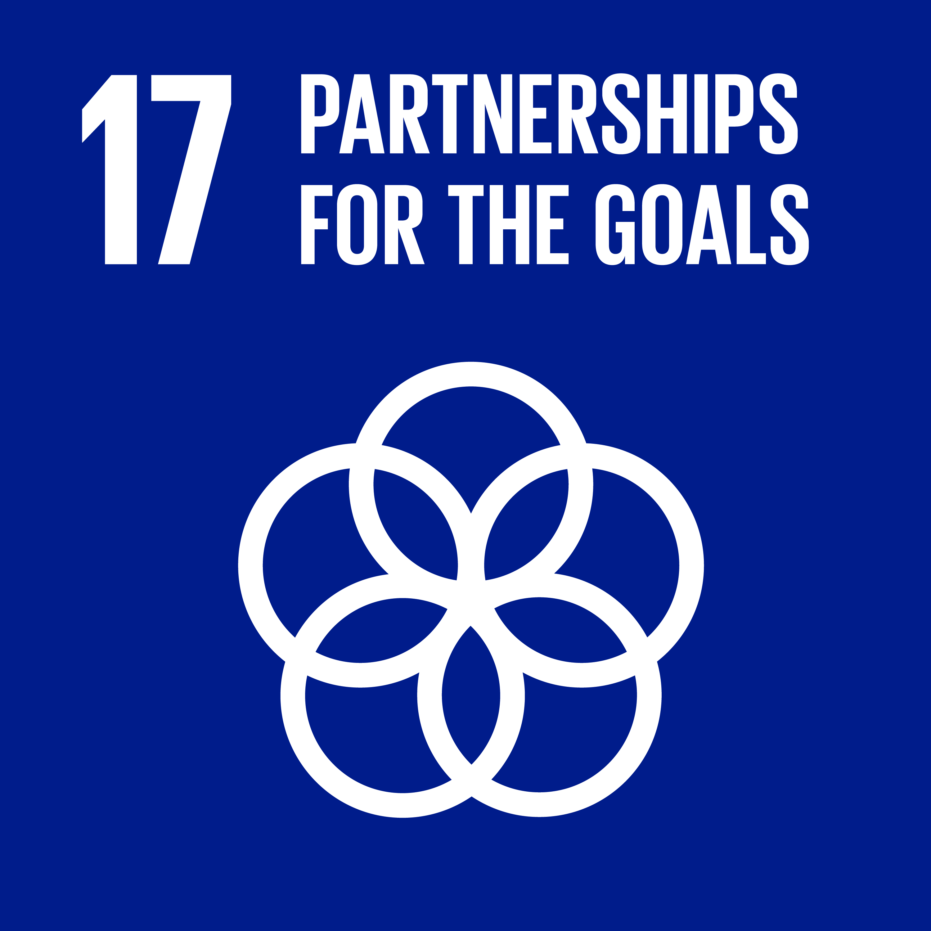 sdg icon 17