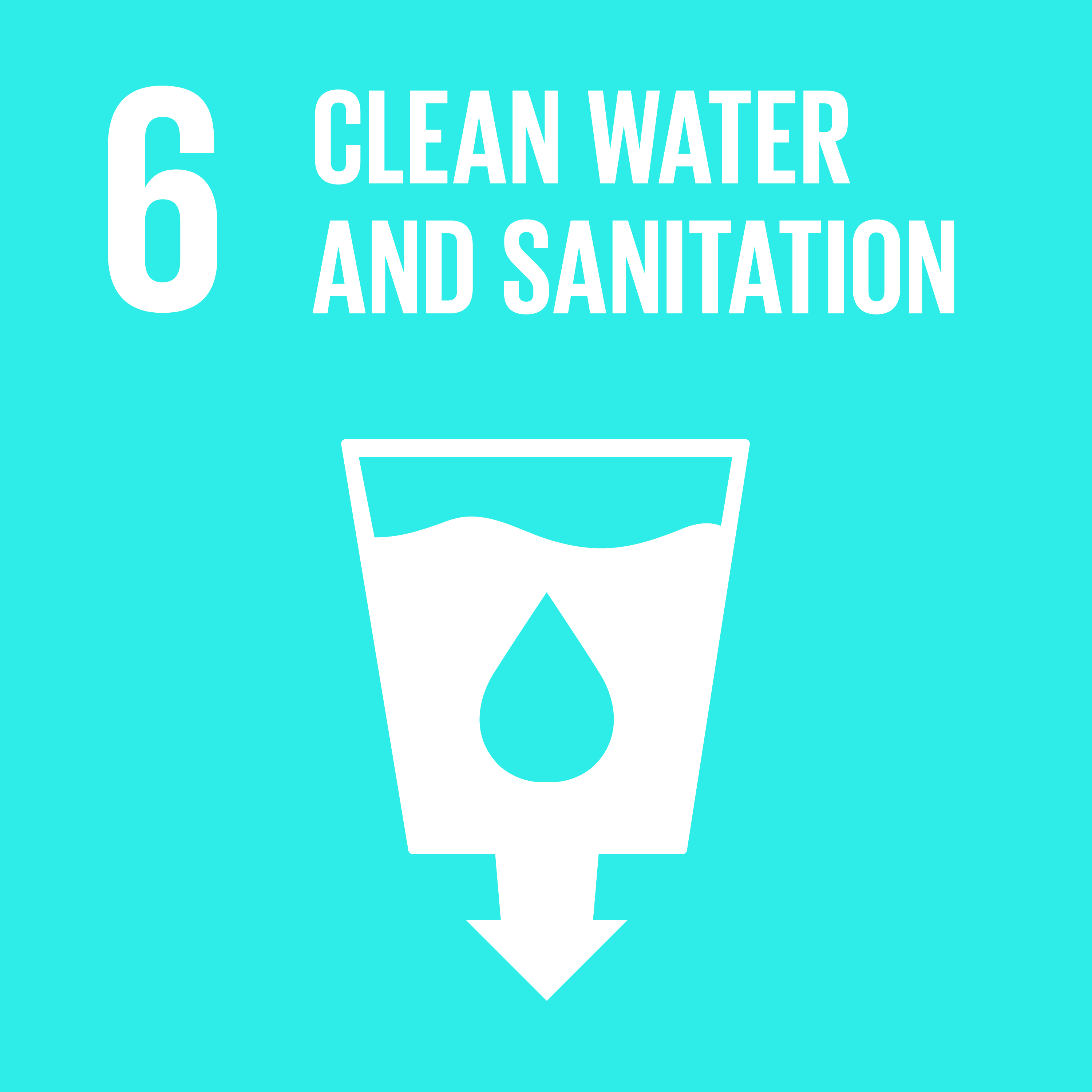 sdg icon 6