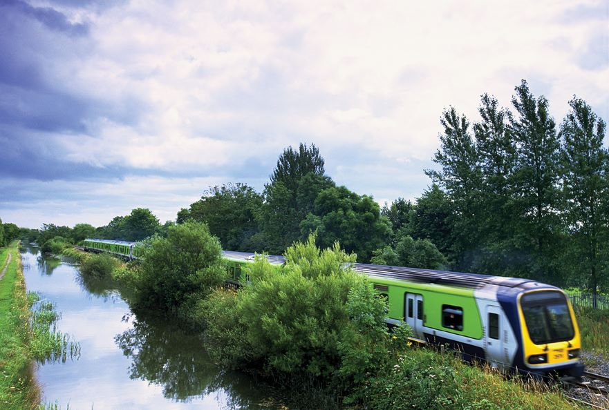 Dart Train In Forest