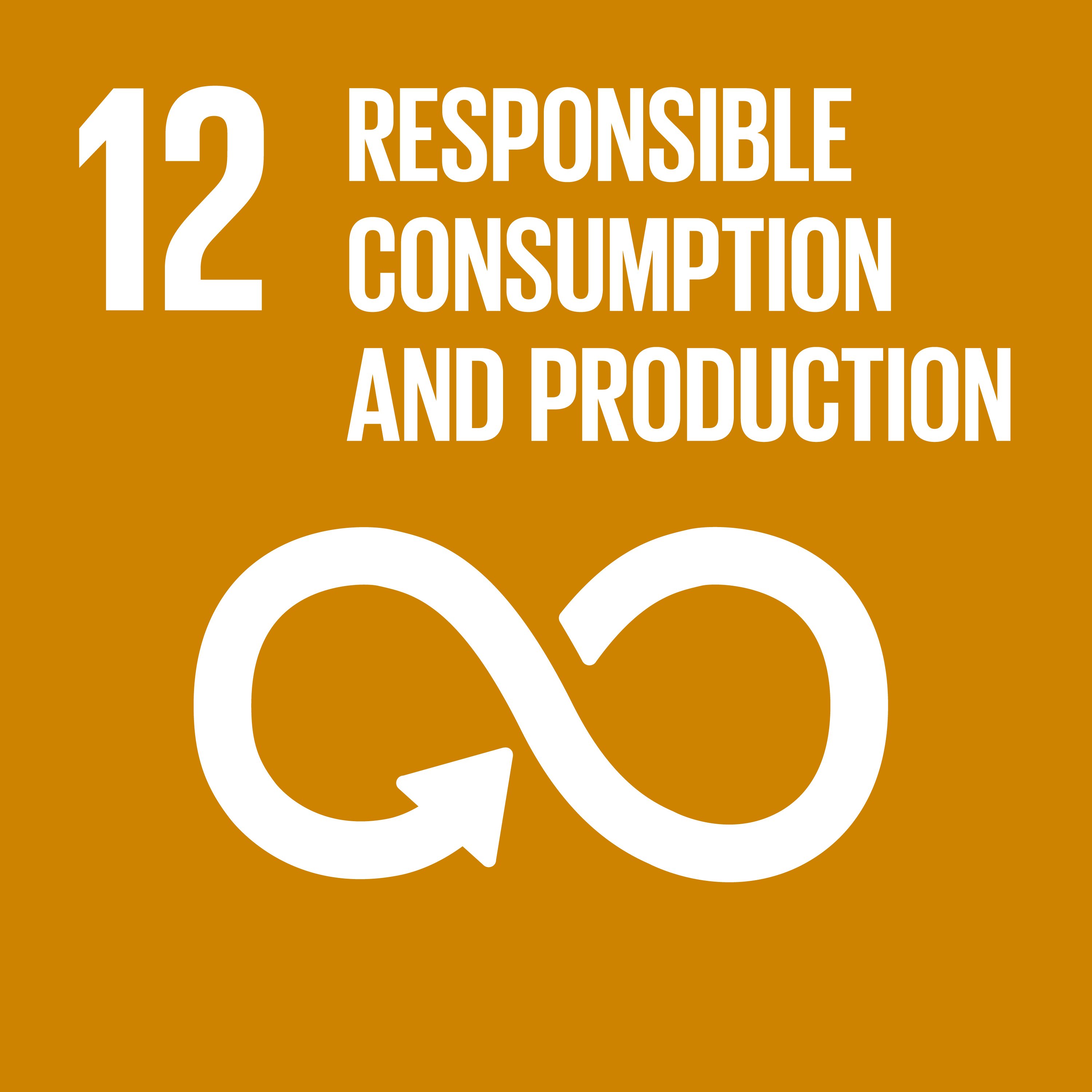 sdg icon 12